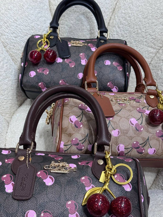 شنط من كوتش coach